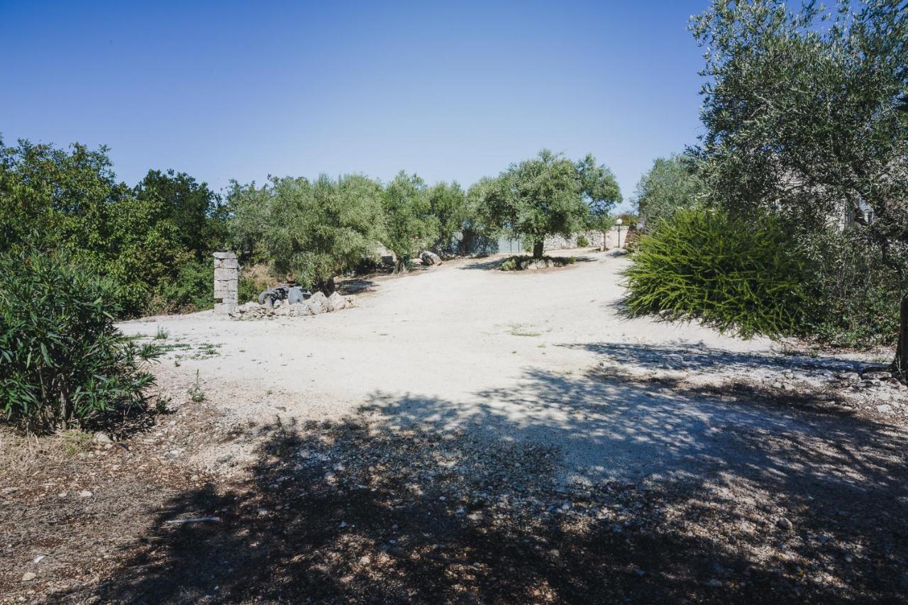 Trullo Narciso Βίλα Αλμπερομπέλο Εξωτερικό φωτογραφία